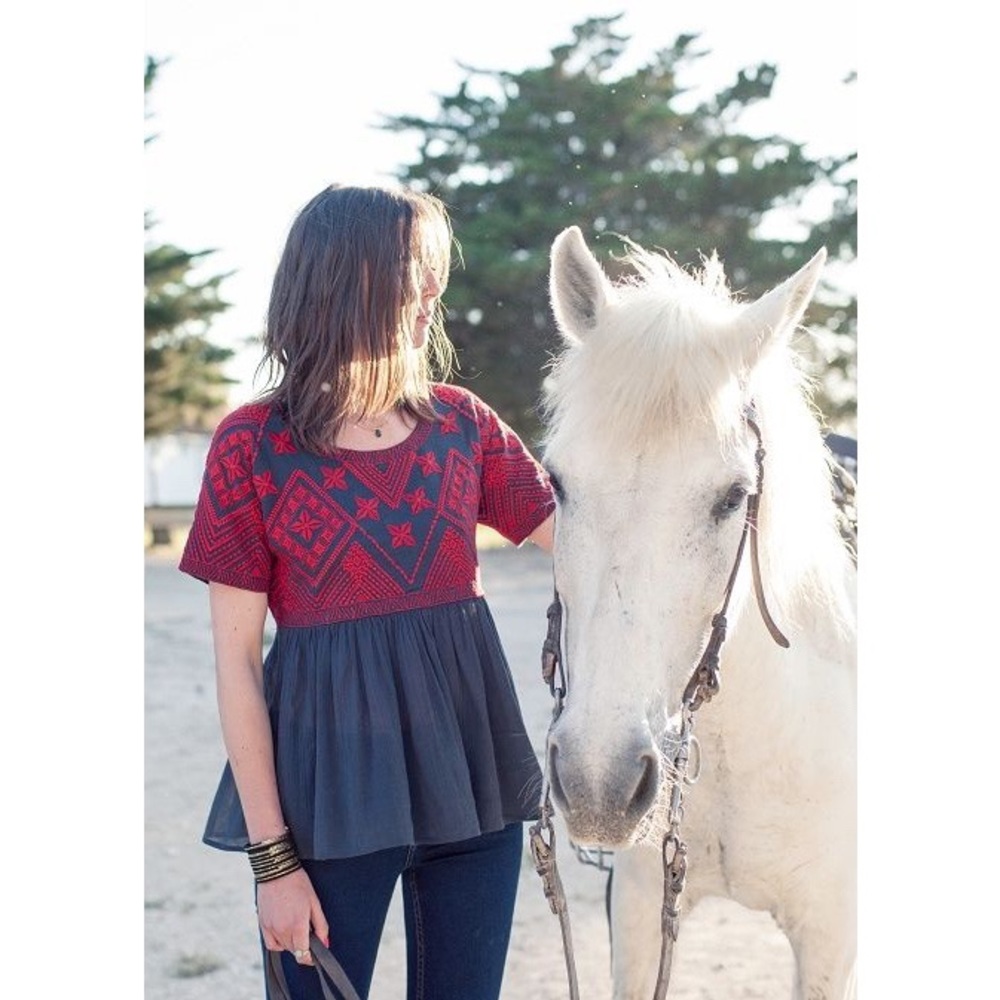 Sézane Raphael Blouse Navy Grey w Red Embroidery